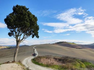 via lauretana